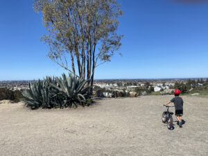 View from Lake Miramar