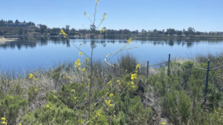 Miramar Reservoir